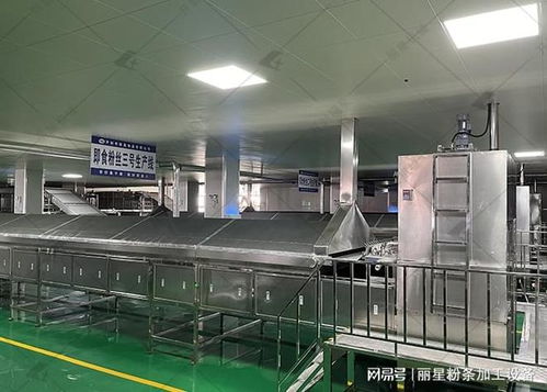 麗星桶裝粉絲粉餅生產(chǎn)設(shè)備 核心優(yōu)勢(shì)解析與規(guī)模化生產(chǎn)落地實(shí)踐